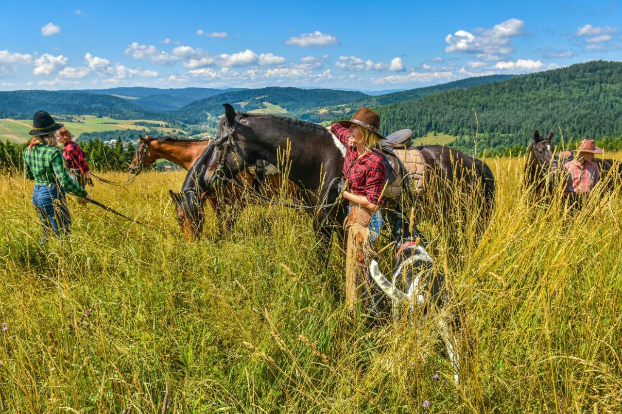 Farma Lama Dom Goscinny Tylicz Exterior foto